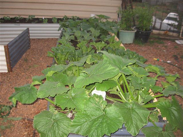 TODAY IS THE DAY 051 (Small).JPG