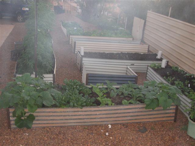 TODAY IS THE DAY 052 (Small).JPG