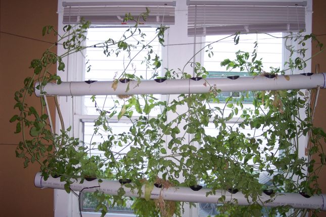 system june 20th.jpg