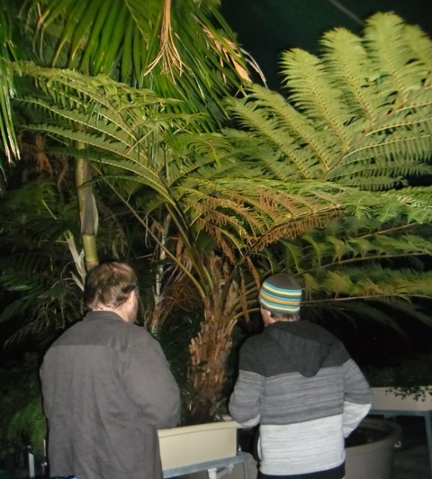 Life in the undergrowth.jpg