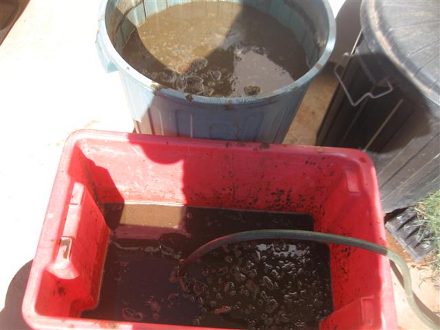 TODAY IS THE DAY 002 (Small).JPG