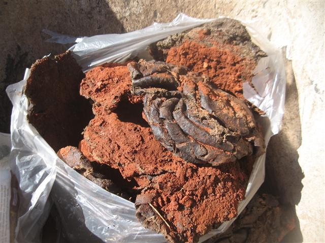 TODAY IS THE DAY 001 (Small).JPG