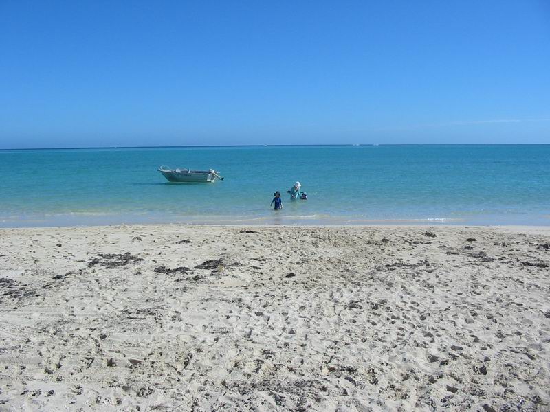 Resize of 148-4889_IMG.JPG