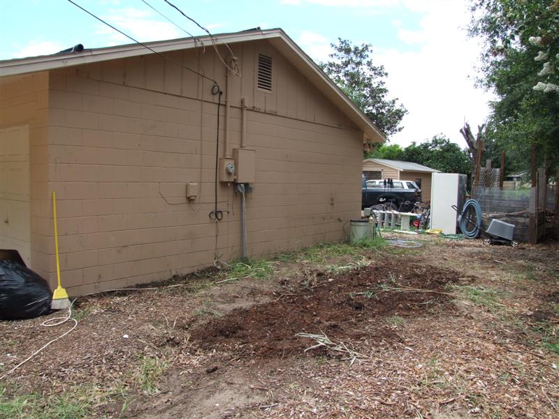 Looks bare (Medium).JPG