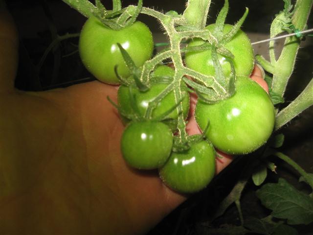 TODAY IS THE DAY 001 (Small).JPG