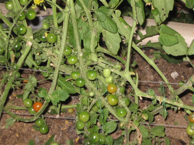 TODAY IS THE DAY 003 (Small).JPG