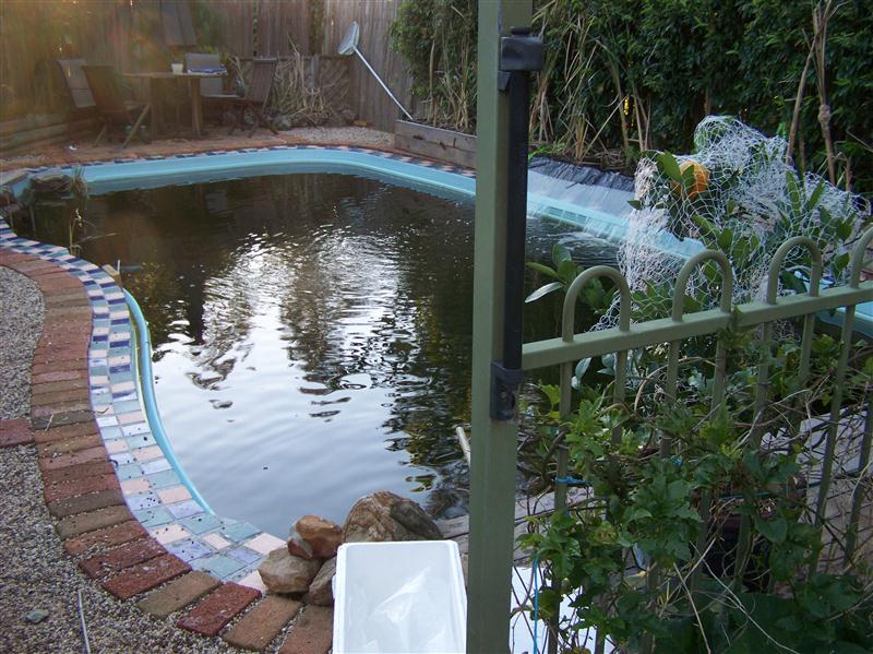 100_6259 (Custom).JPG