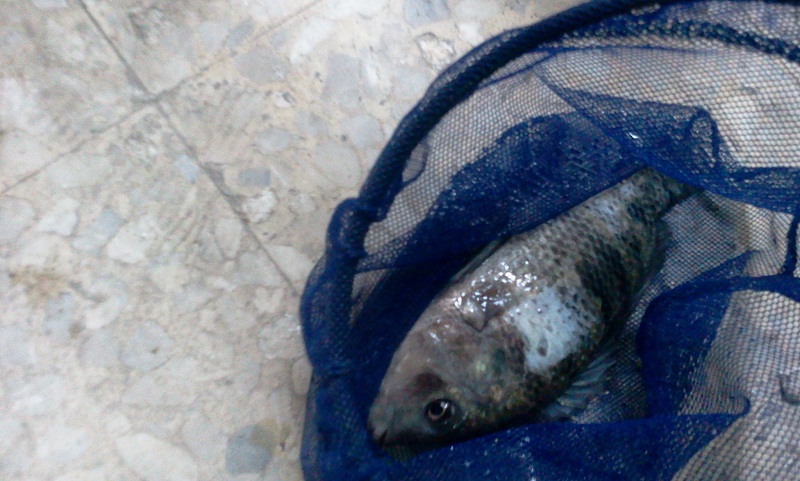 2012-07-18 23.29.15.jpg