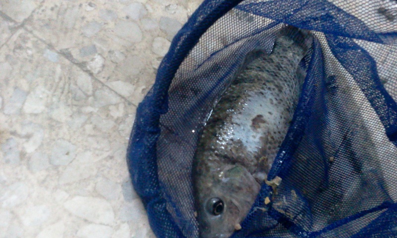 2012-07-18 23.29.36.jpg