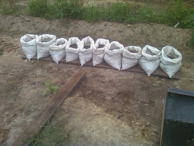 7-18-2012 Growing potatoes in bags.jpg