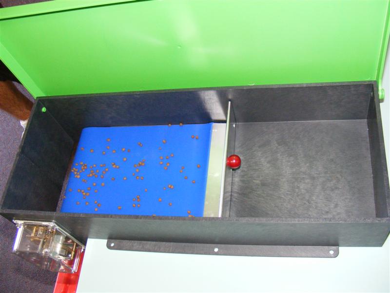 DSCF5207 (Medium).JPG