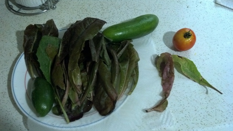 First Salad 3 2012-07-12.jpg