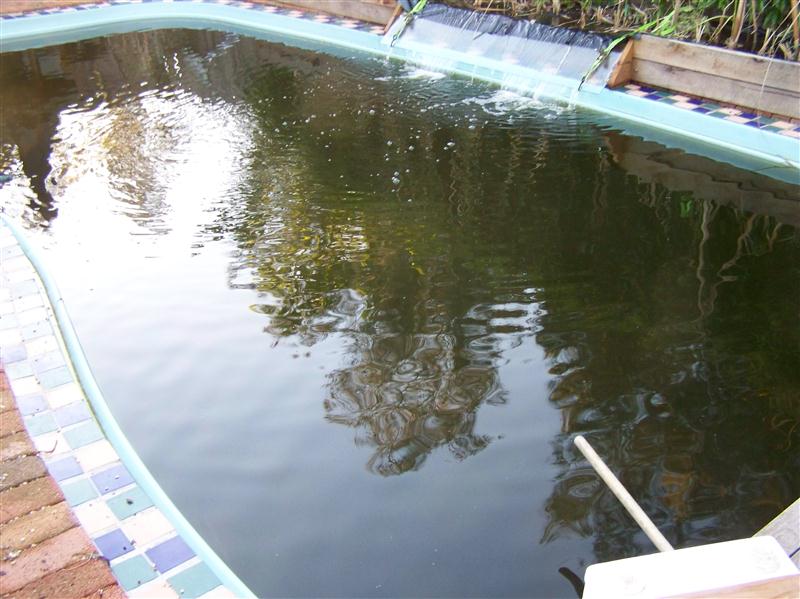 100_6257 (Custom).JPG