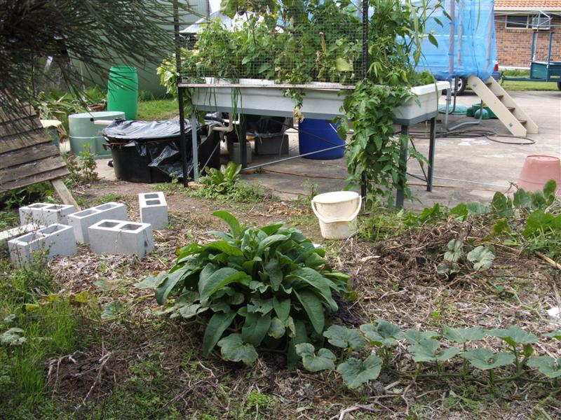 DSCF4046 (Medium).JPG