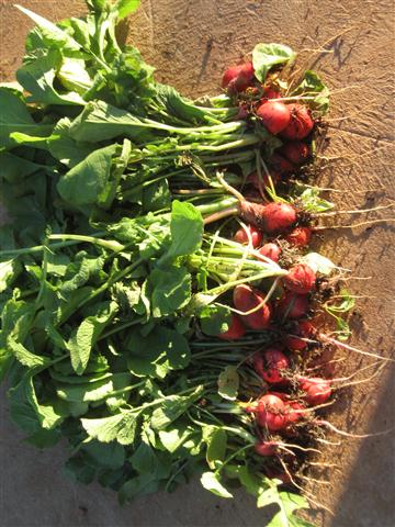 TODAY IS THE DAY 001 (Small).JPG