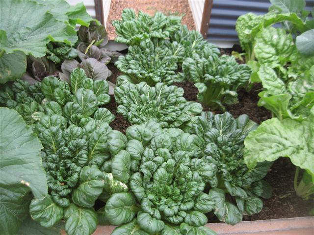 TODAY IS THE DAY 005 (Small).JPG