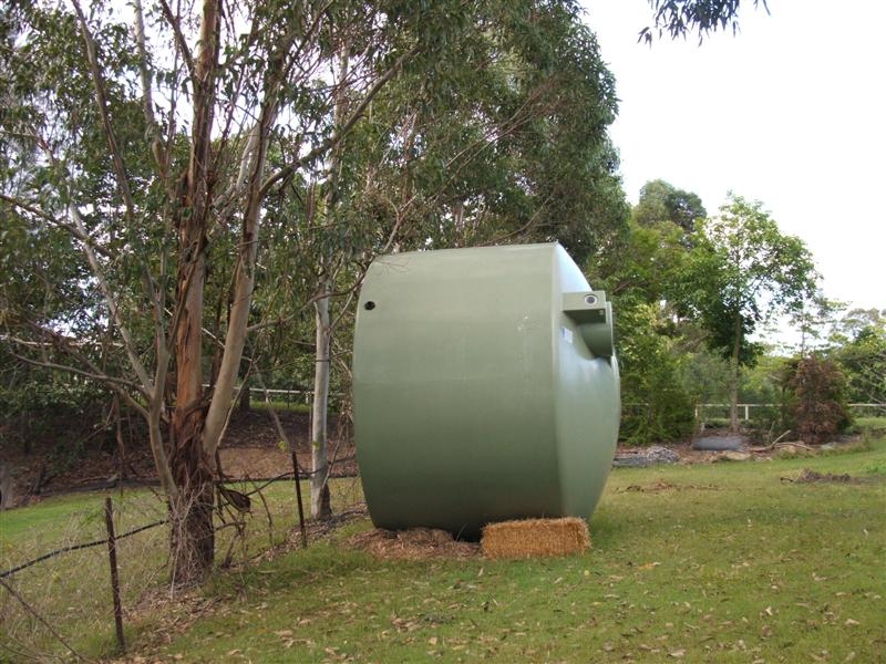 DSCF4021 (Medium).JPG