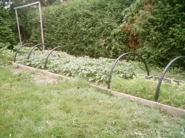 IMAG0041 (Small).JPG