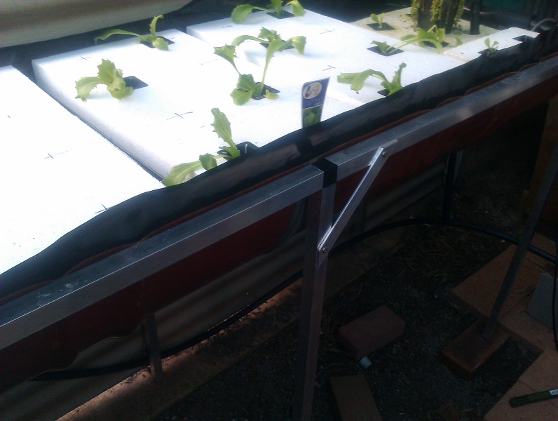 2012-07-24 16.49.42s.jpg