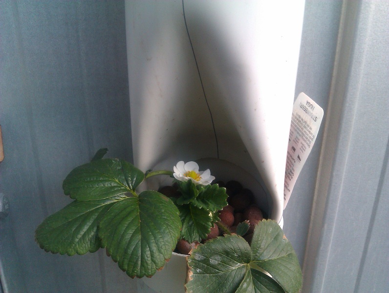 2012-07-24 16.51.25s.jpg