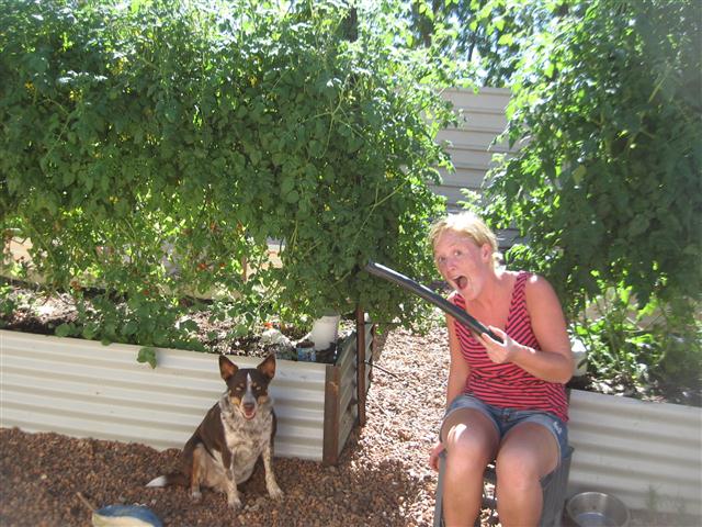 TODAY IS THE DAY 003 (Small).JPG