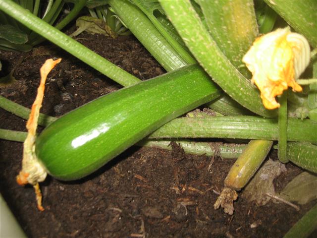 TODAY IS THE DAY 002 (Small).JPG