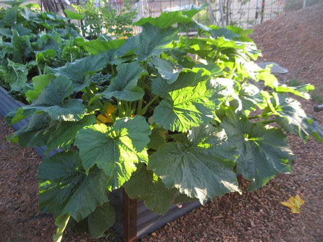 TODAY IS THE DAY 001 (Small).JPG