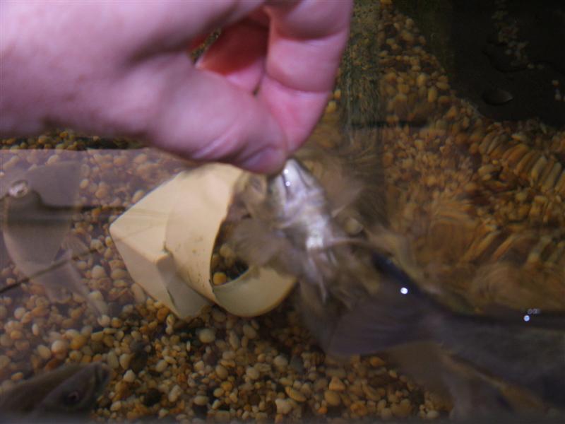 DSCF2519 (Medium).JPG