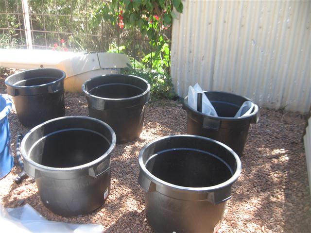 TODAY IS THE DAY 002 (Small).JPG