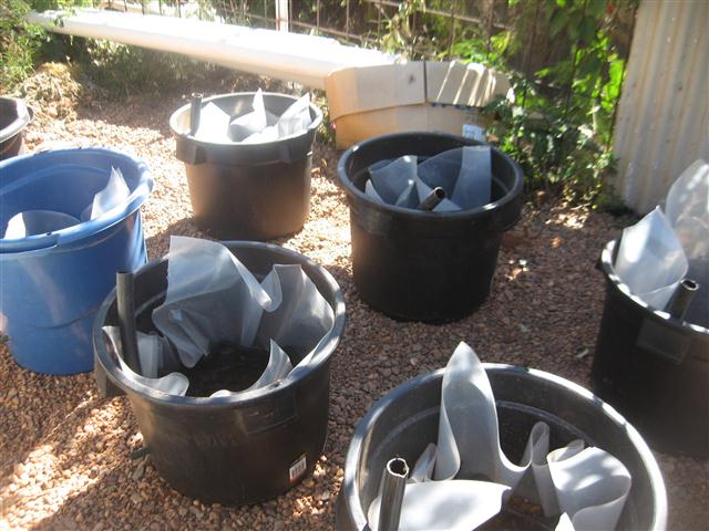 TODAY IS THE DAY 003 (Small).JPG