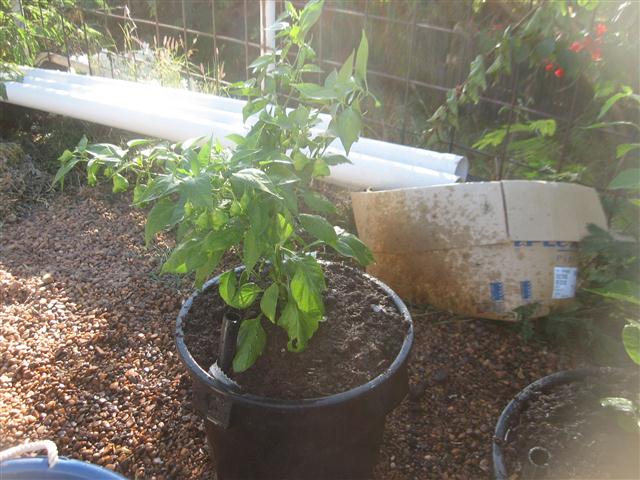 TODAY IS THE DAY 009 (Small).JPG