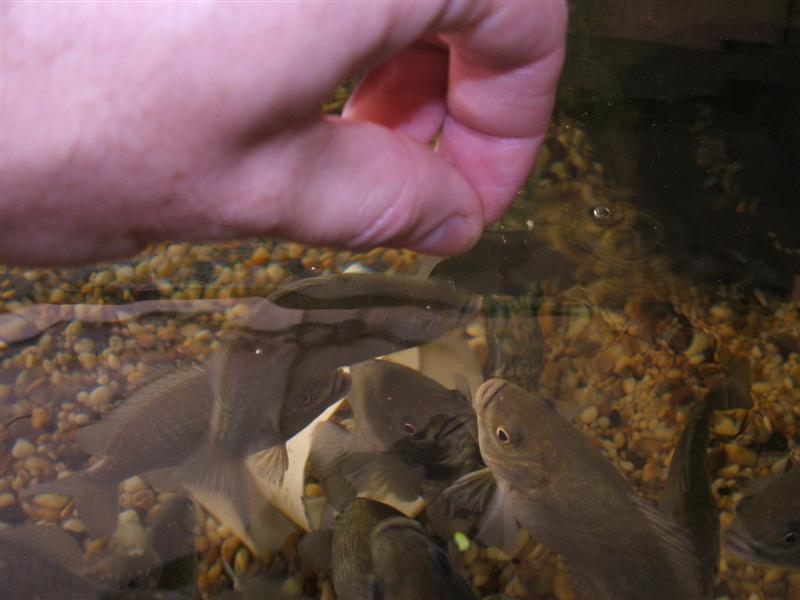 DSCF2521 (Medium).JPG