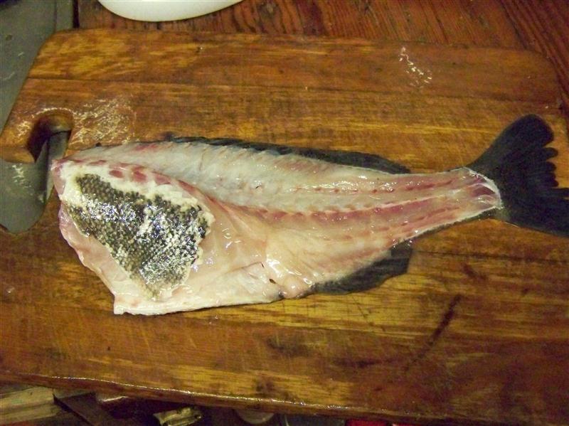 100_7215 (Custom).JPG