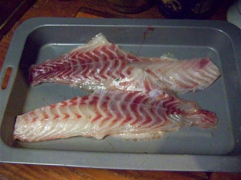 100_7217 (Custom).JPG