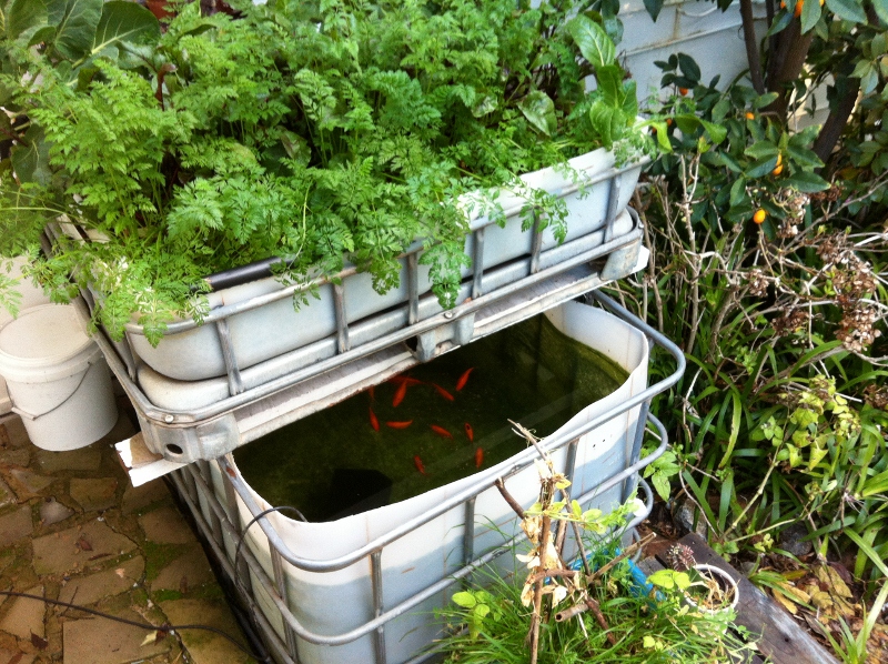 IMG_0906 (800x598).jpg