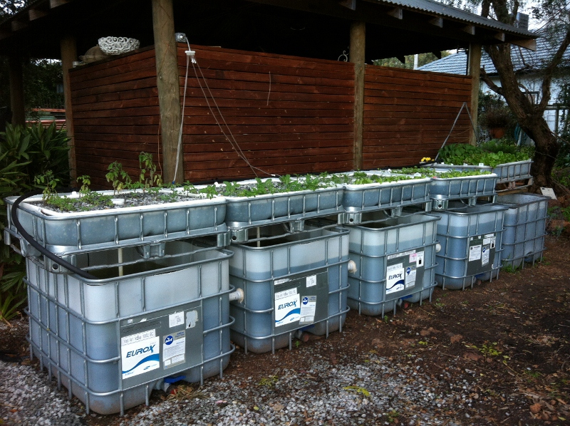 IMG_0914 (800x598).jpg