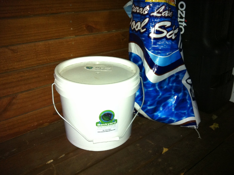 IMG_0917 (800x598).jpg