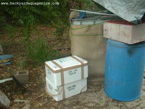 ausyfish_to_aae_boxes_990 copy.jpg