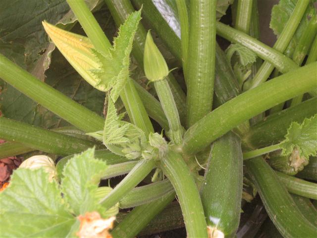 TODAY IS THE DAY 010 (Small).JPG