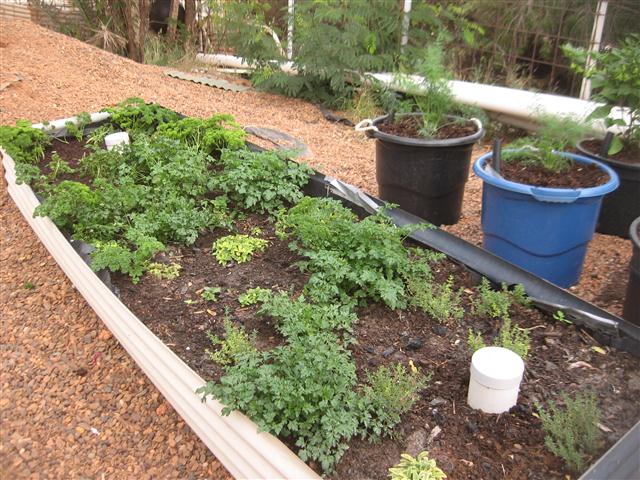 TODAY IS THE DAY 005 (Small).JPG