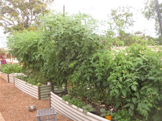 TODAY IS THE DAY 002 (Small).JPG