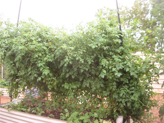 TODAY IS THE DAY 003 (Small).JPG