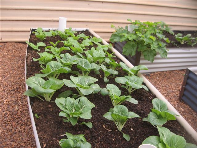 TODAY IS THE DAY 007 (Small).JPG