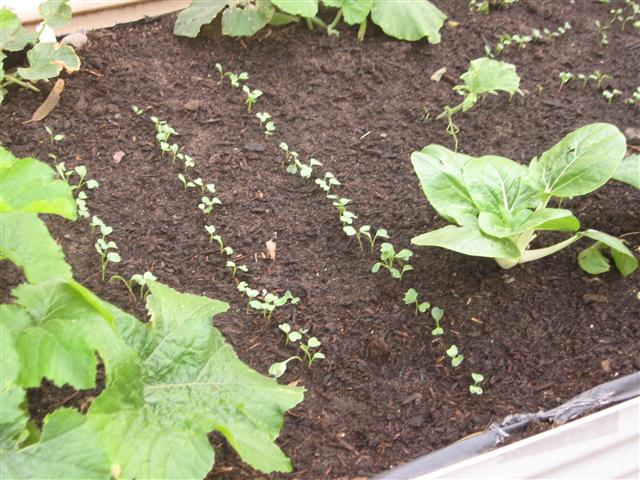 TODAY IS THE DAY 008 (Small).JPG