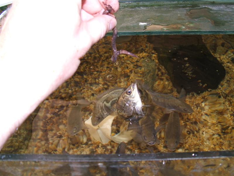 DSCF2537 (Medium).JPG