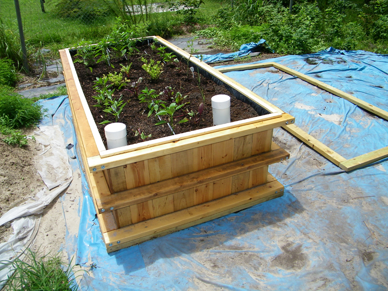 WB 1 finished 1 - 8-3-2012.jpg