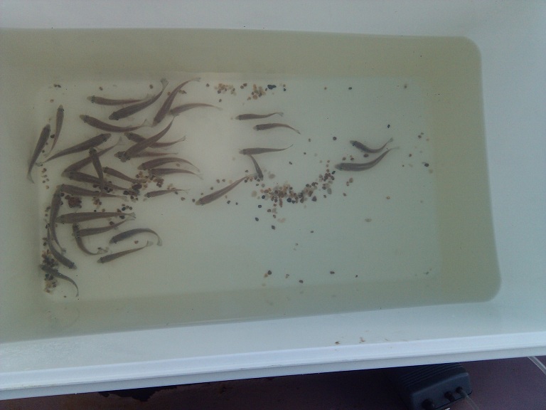 2012-08-04 16.34.10.jpg