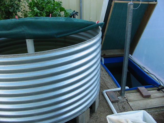 Sys2 - Fish Tanks.jpg