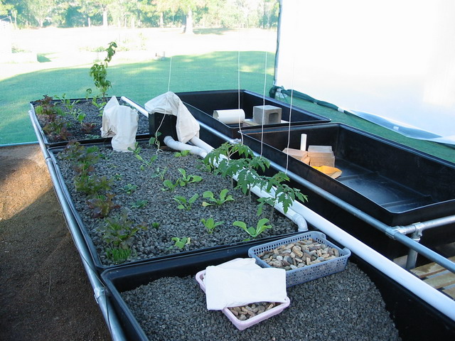 Sys2 - Grow Beds.jpg
