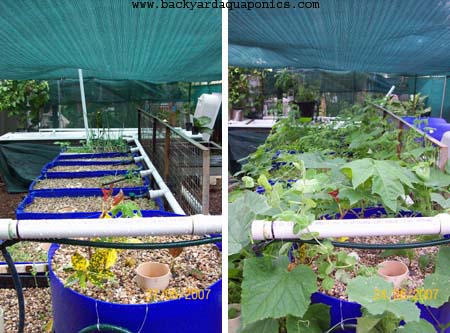 one_months_growth_740 copy.jpg